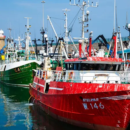 Ocean View Orman Evi