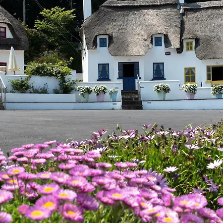 Ocean View Orman Evi *