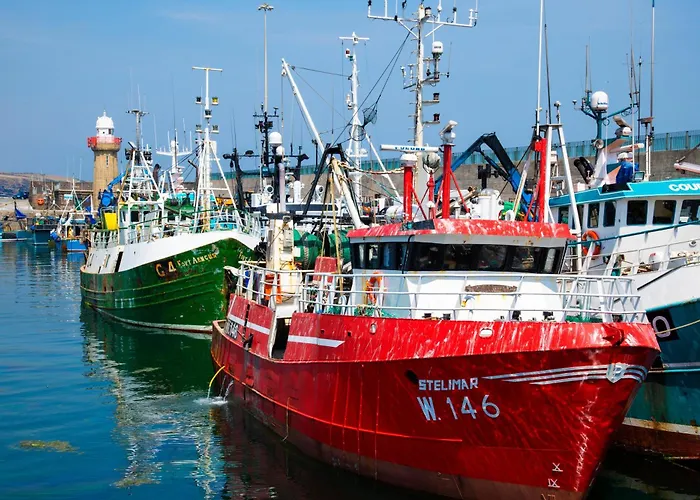 Ocean View 山林小屋