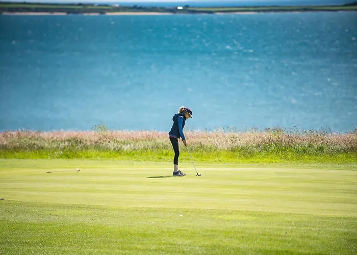 Ocean View 邓莫尔东